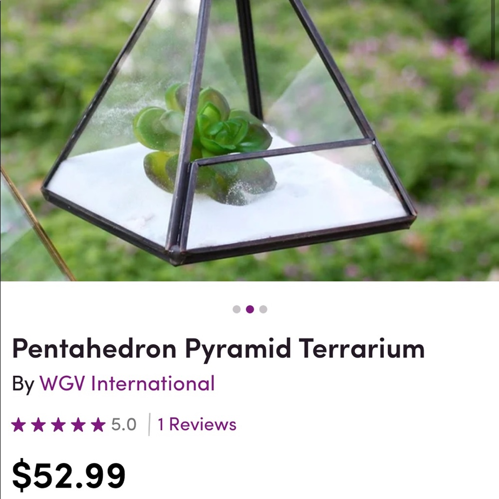 🪴Pyramid Terrarium🕊HOST PICK - Picture 4 of 4